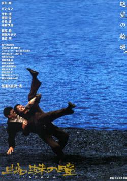 蜘蛛之瞳