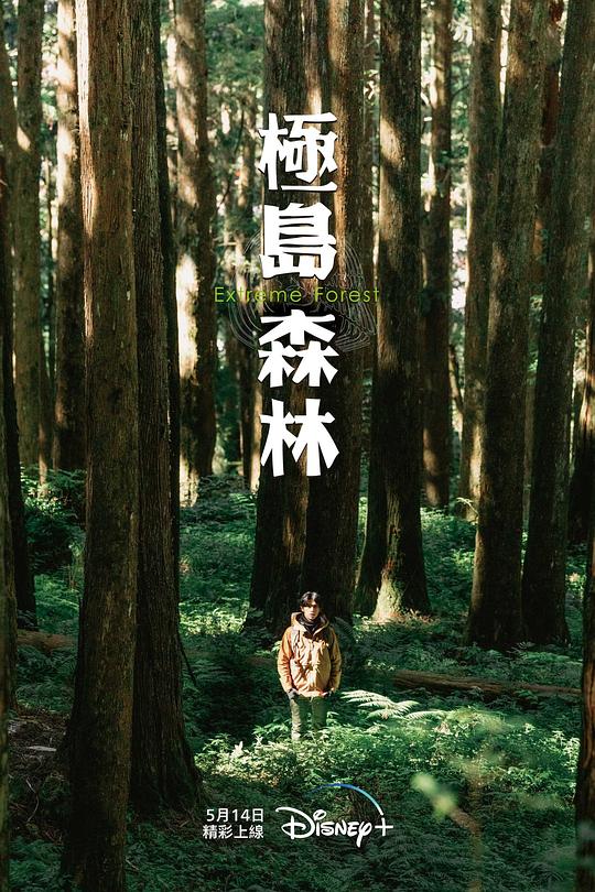 极岛森林
