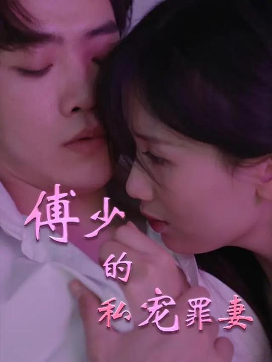 傅少的私宠罪妻