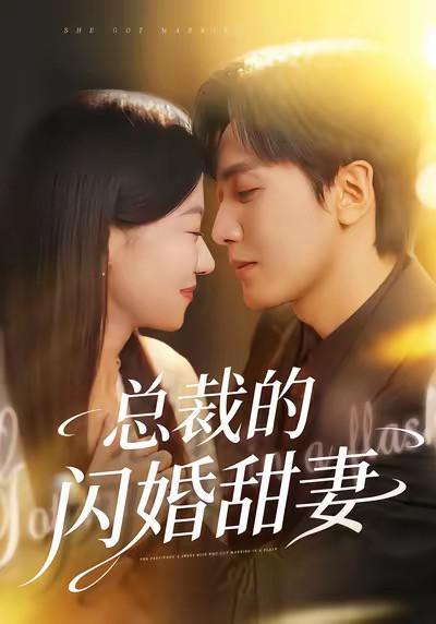 总裁的闪婚娇妻