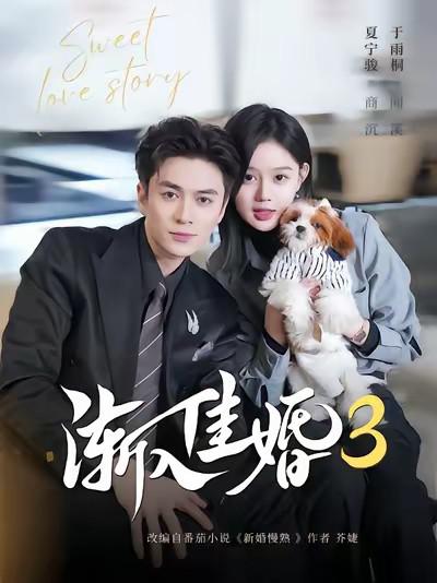 渐入佳婚3第三部