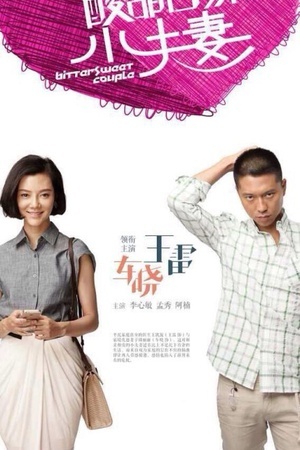 酸甜苦辣小夫妻