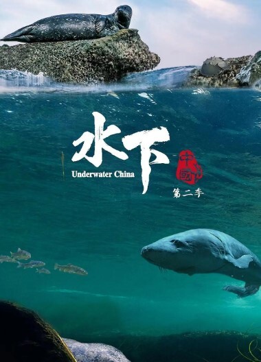 水下中国第二季
